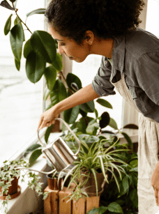 Lady watering plants